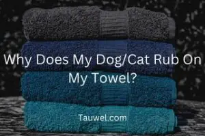 Pet rubbing on towel