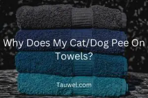 Pet peeing on towels