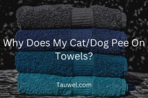 Pet peeing on towels