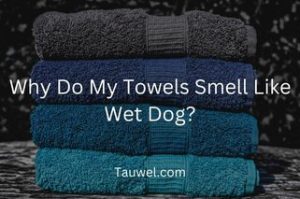 Dog's smell on towels